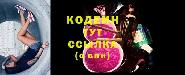 дживик Иннополис