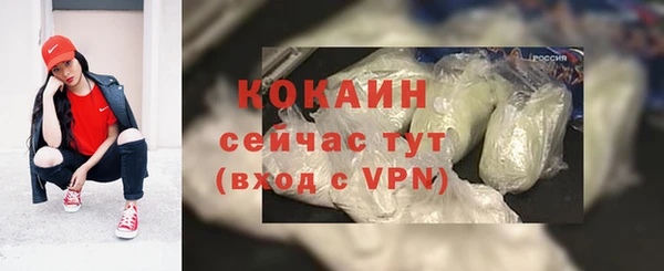 стафф Зерноград