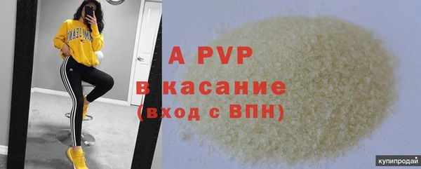 стафф Зерноград