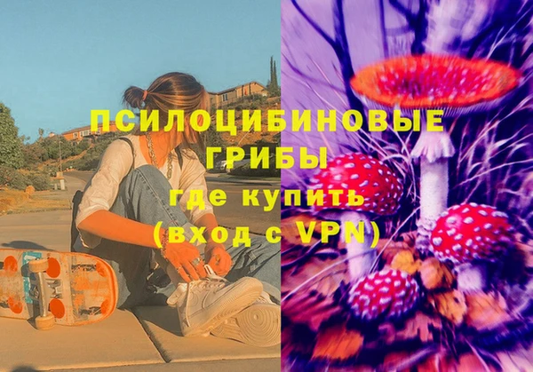 дживик Иннополис