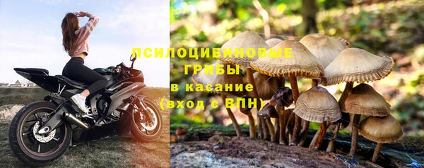 jwh Зеленокумск