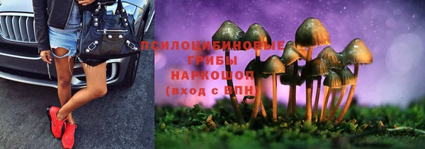 стафф Зерноград